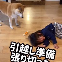 女の子がギャン泣き！