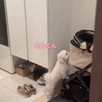 「これなら…！」