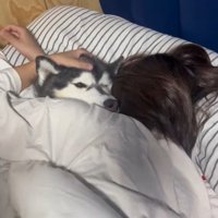 あざとすぎる…！！