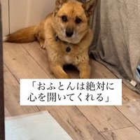 おふとん君の変化3