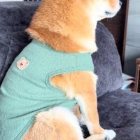 眠気と戦う大吉くん