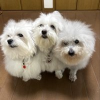 仲良し家族