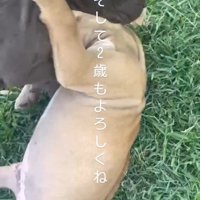 リバくんが2歳になるまで⑩