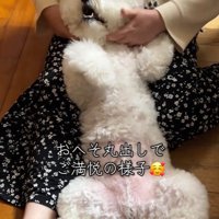 RAUくんの熱烈大歓迎⑩