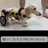 車椅子に挑戦する琥珀くん4