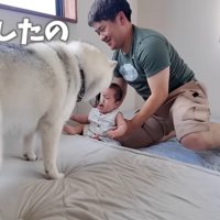 「大丈夫？」と心配