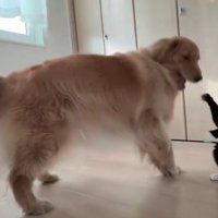 それでも遊んじゃう♪