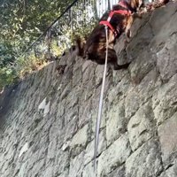 登り終わりそうなトシくん