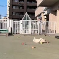 ほぼ
