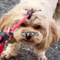 「なに笑ってる！！」