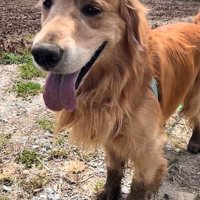 泥んこのマッシュくん