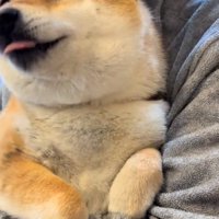 大げさなあーちゃん