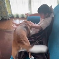 姪っ子ちゃんに会えて大喜び！