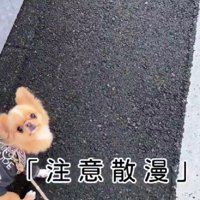 「なんか色々気になるんだよね～」