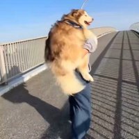 あまりにも大きい…！！