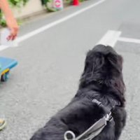 ルンルンで追いかける♪