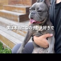 抱っこされる犬2