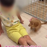「会いたかったよ」