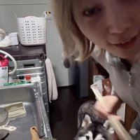 「ごちそうさまー」