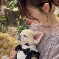 歯が見えちゃってます