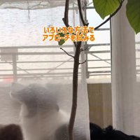 気付いてもらえないから…