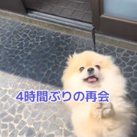 ますお君の熱烈歓迎8
