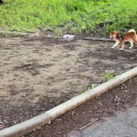 ドッキリに対する福ちゃんの反応2