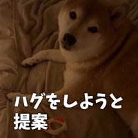 「ハグする？」