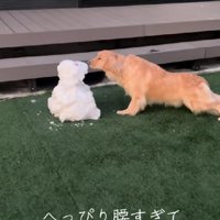 初めて『雪だるま』と対面