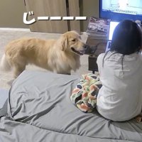 妨害失敗を悟る…