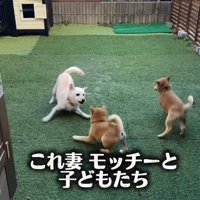 モッチーちゃんと子どもたち