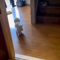 「ママだ！！」