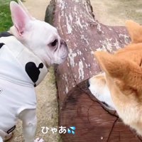 「怒ってる？やばい…」