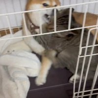 熱い抱擁をするゆずちゃん