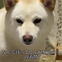 「なんで先に寝るの！」