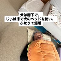 ニウちゃんとおじいちゃん3