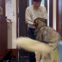 ただいまを伝えるお父さん