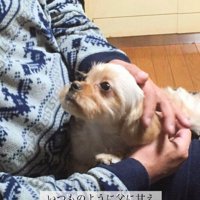 いつでも甘えていた