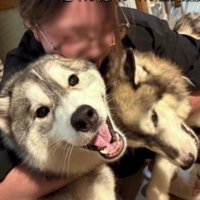 これからも幸せでね