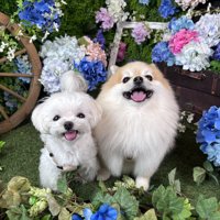 仲良し兄妹