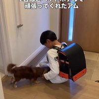 アムくんとお兄ちゃんの再会4