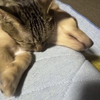 枕