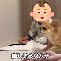 嬉しくてぴょんっ♪