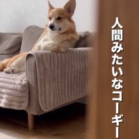 隠し撮りしてみたら…