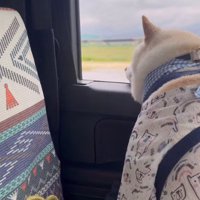 窓の外を見ていると…