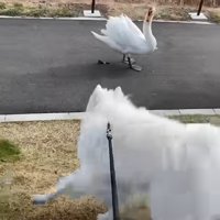 通り過ぎる