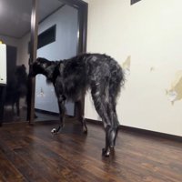 イケメンオーラ全開♡