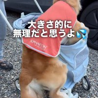 ジタバタしながら中へ