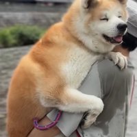 目を細めるおはるちゃん