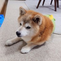 穏やかに